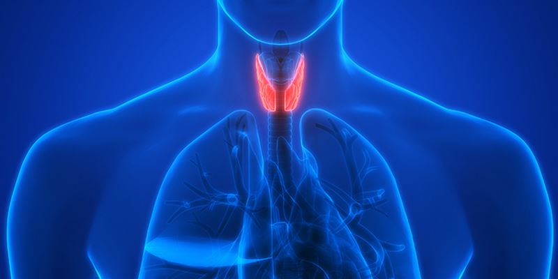 funzionalit-tiroidea-blu